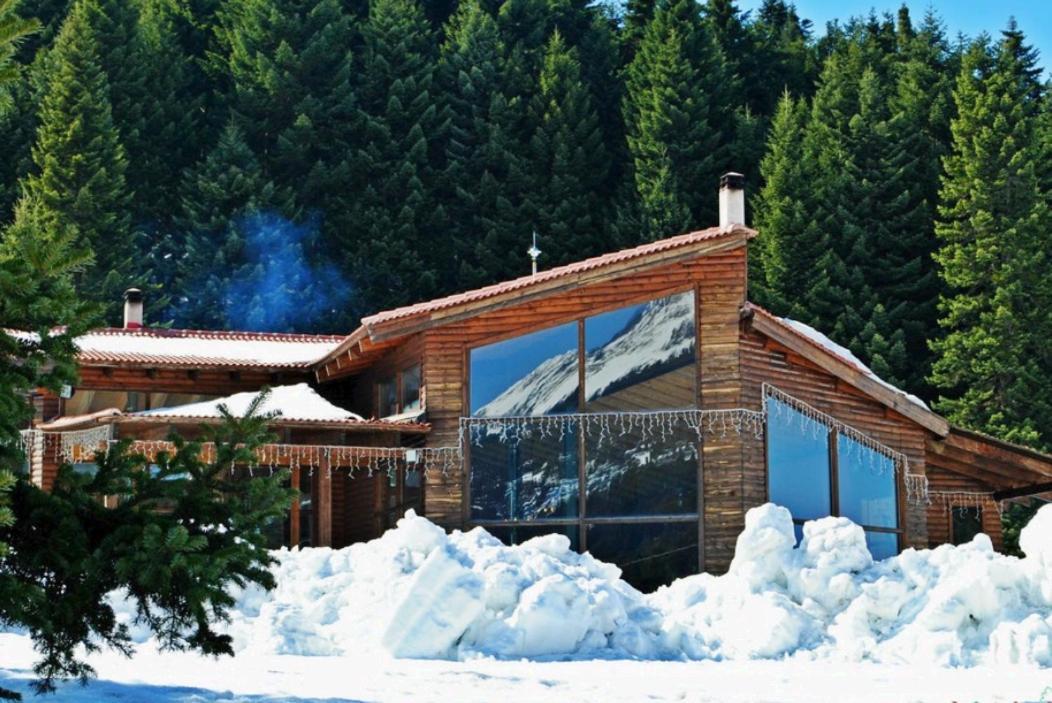 Elati Electra'S Cozy House Villa Exterior photo